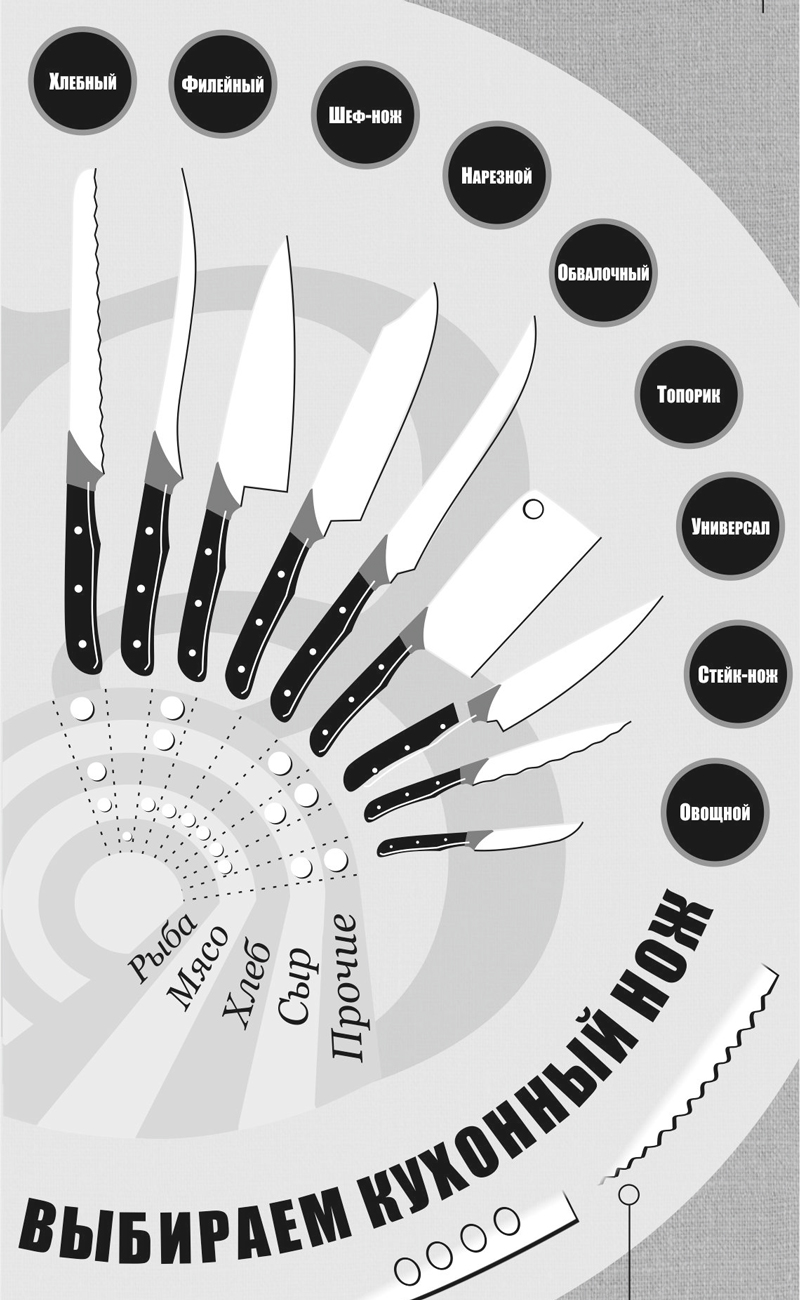 Виды кухонных ножей. Инфографика